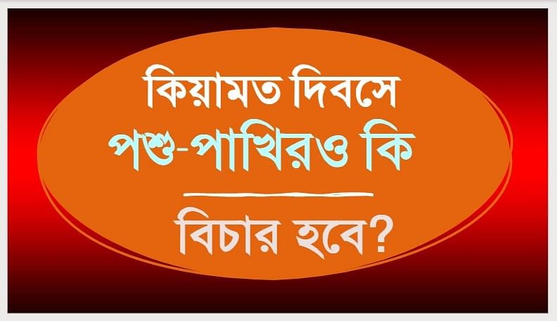 কিয়ামত দিবসে পশুপাখিরও কি বিচার হবে? 1 158620995 1175252079561002 1637334235803283591 n